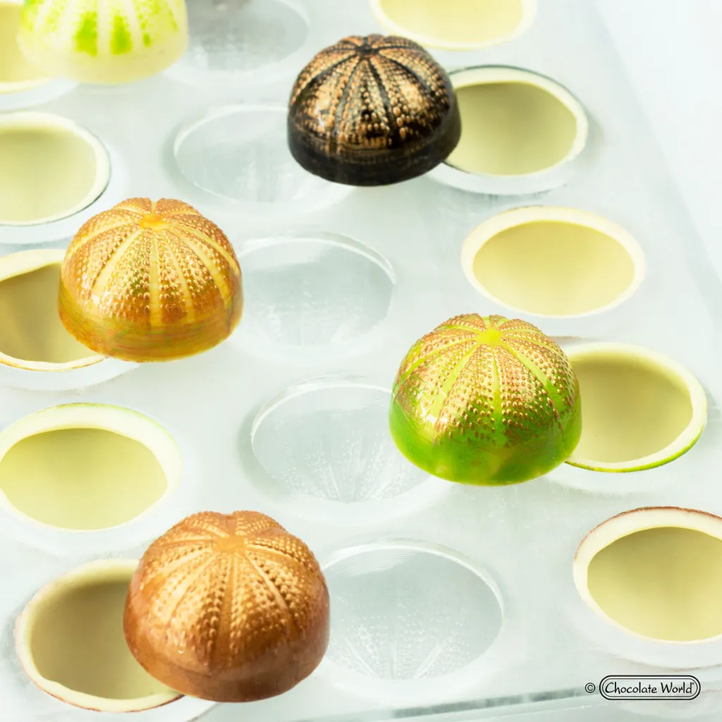CW12032_PW6.webp