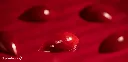 CW12063_A.webp