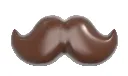 CW12066_A.webp
