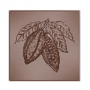 CW12168_A.webp