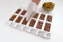 GEL02_M.webp