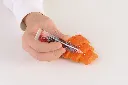 GEL09_N.webp