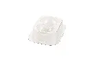 KITKOALA_C.webp