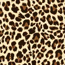 LF033014_W.webp