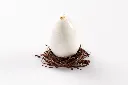 MUL3D2 EGG_F.webp