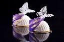 PARFUM_B.webp