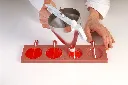 POPO2_D.webp