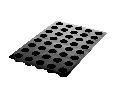 SSQ079_A.webp