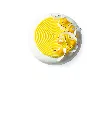 TOURBILLON_E.webp