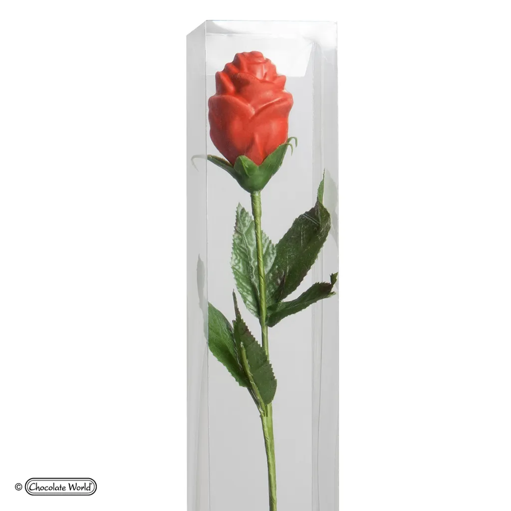 VV0102_A.webp