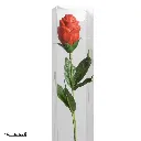 VV0102_A.webp