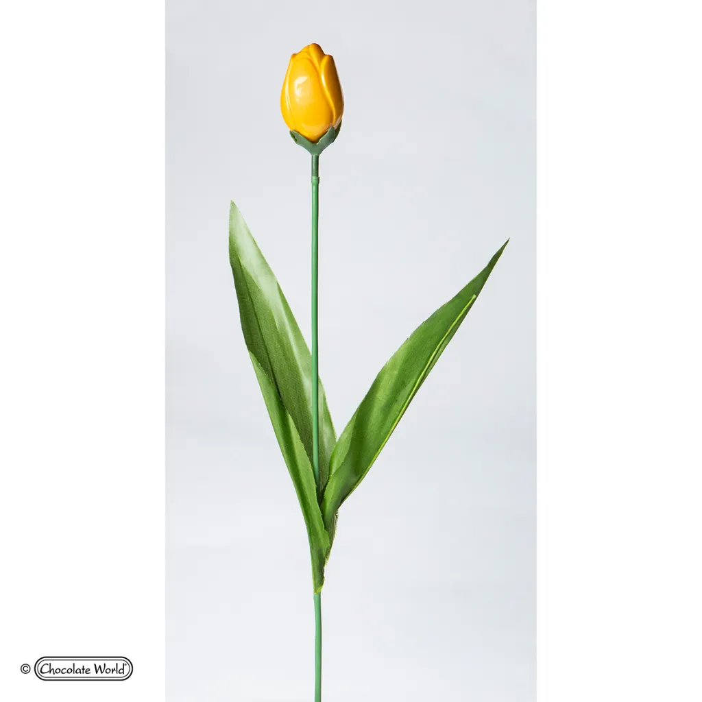 VV0103_A.webp