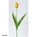 VV0103_A.webp