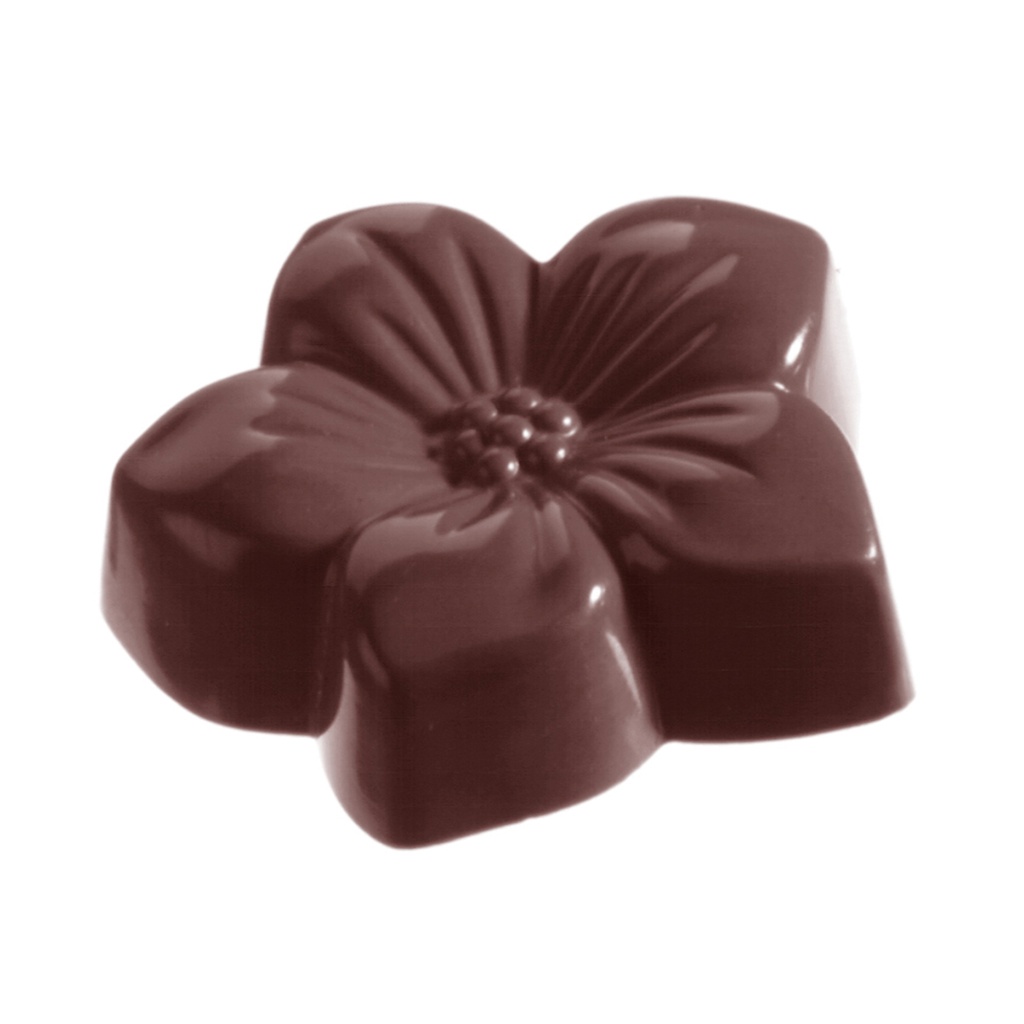Moule à chocolat violette