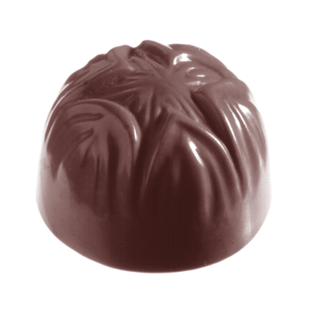 Chocolate mould hazelnut