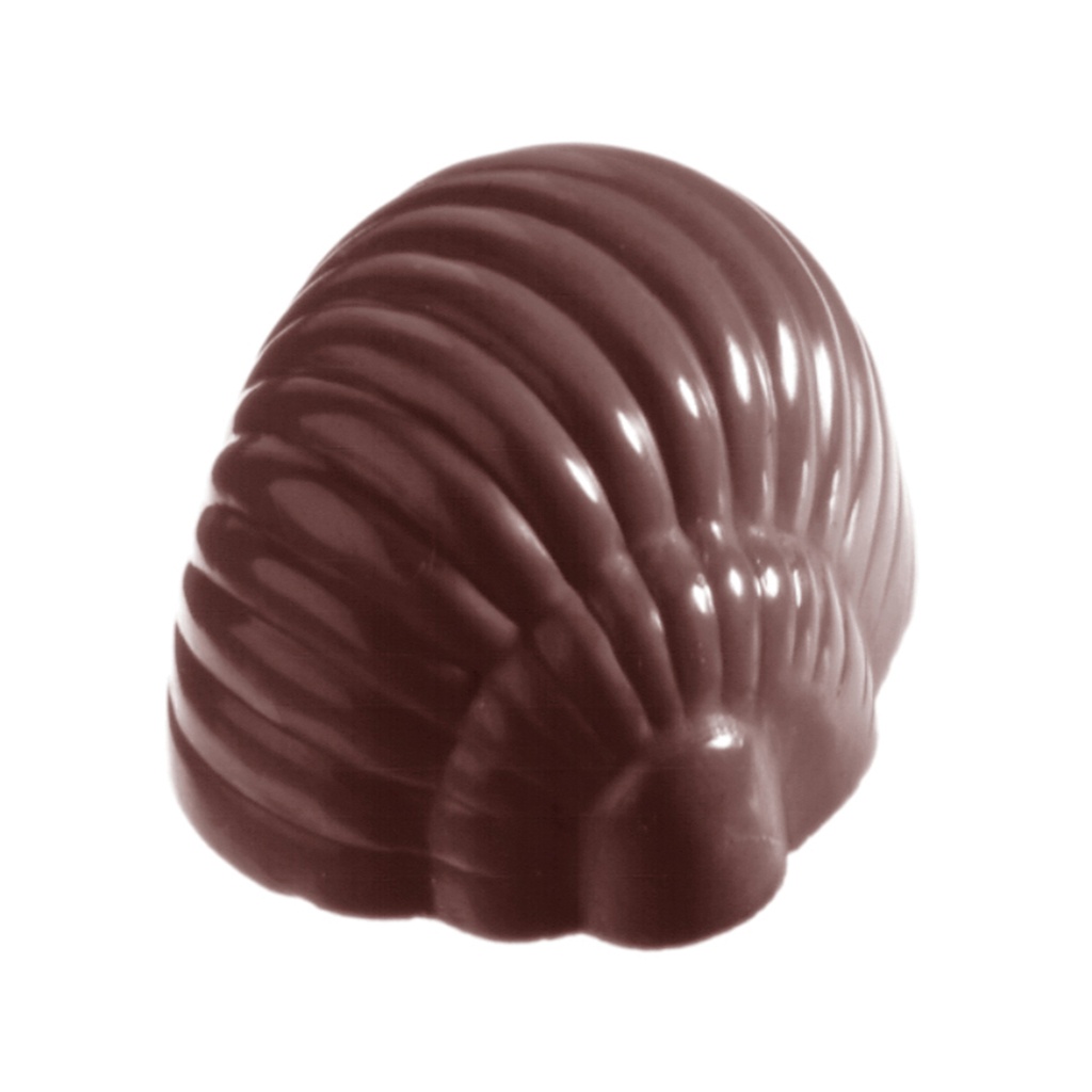 Molde de chocolate concha de caracol