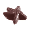 Chocoladevorm zeesterretje