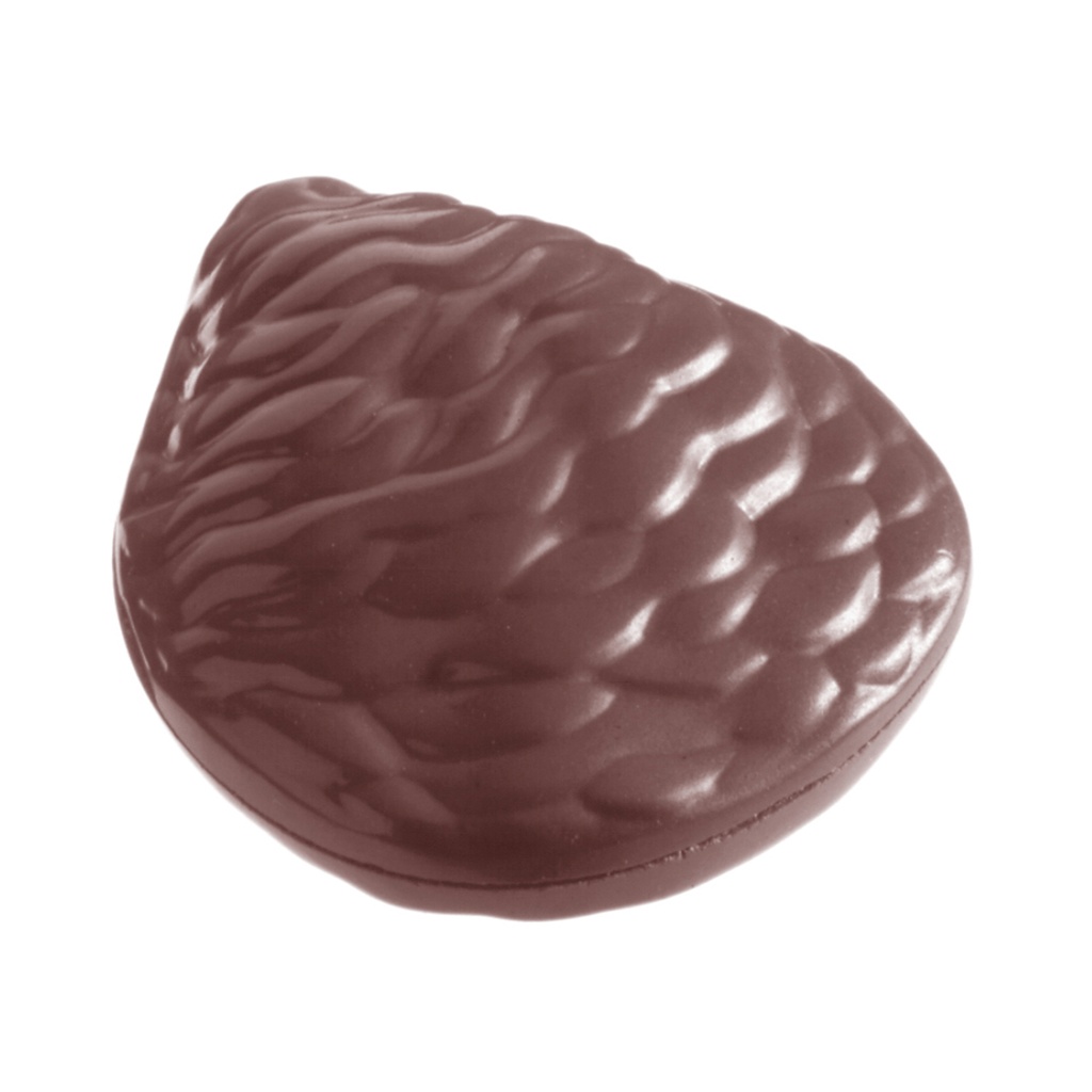 Chocoladevorm oester