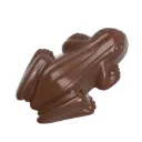 Schokoladenform kikker