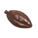 Chocoladevorm cacaoboon facet