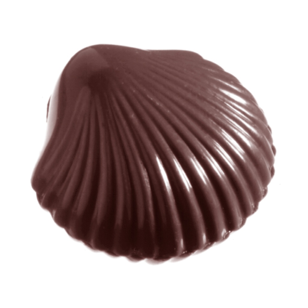 Stampo di cioccolato cozza saint jacques