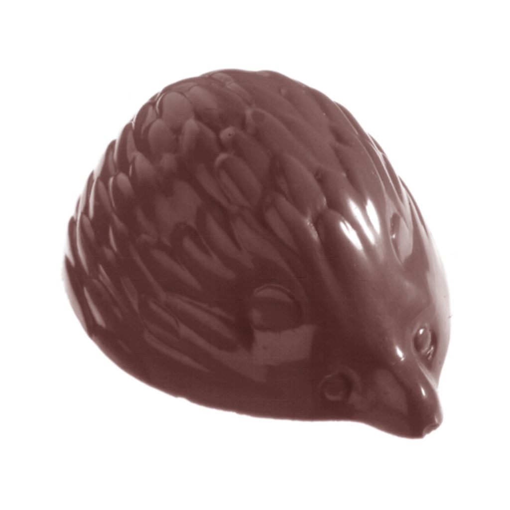 Chocoladevorm egel