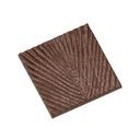 Chocoladevorm tablet Traveller's tree