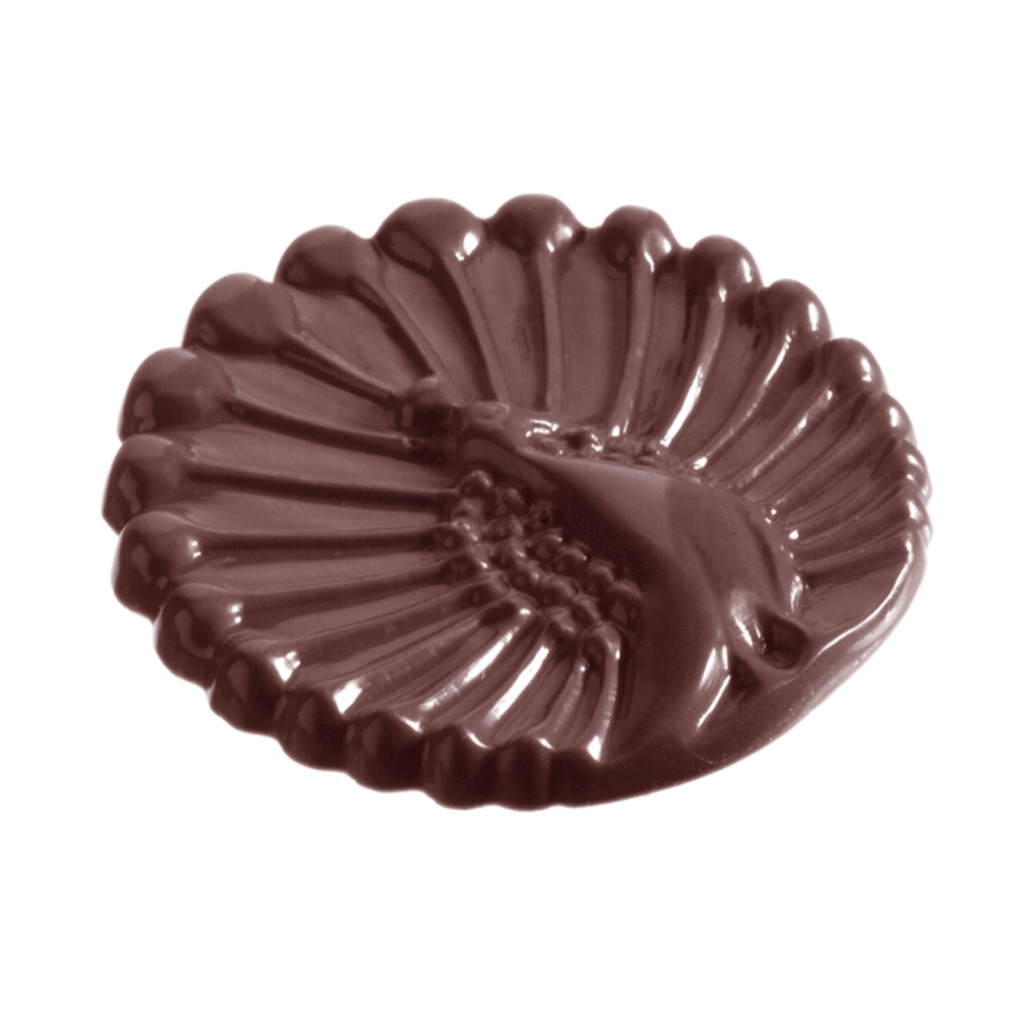 Chocoladevorm pauwkarak