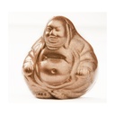 Chocoladevorm boedha