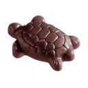 Chocoladevorm schildpad