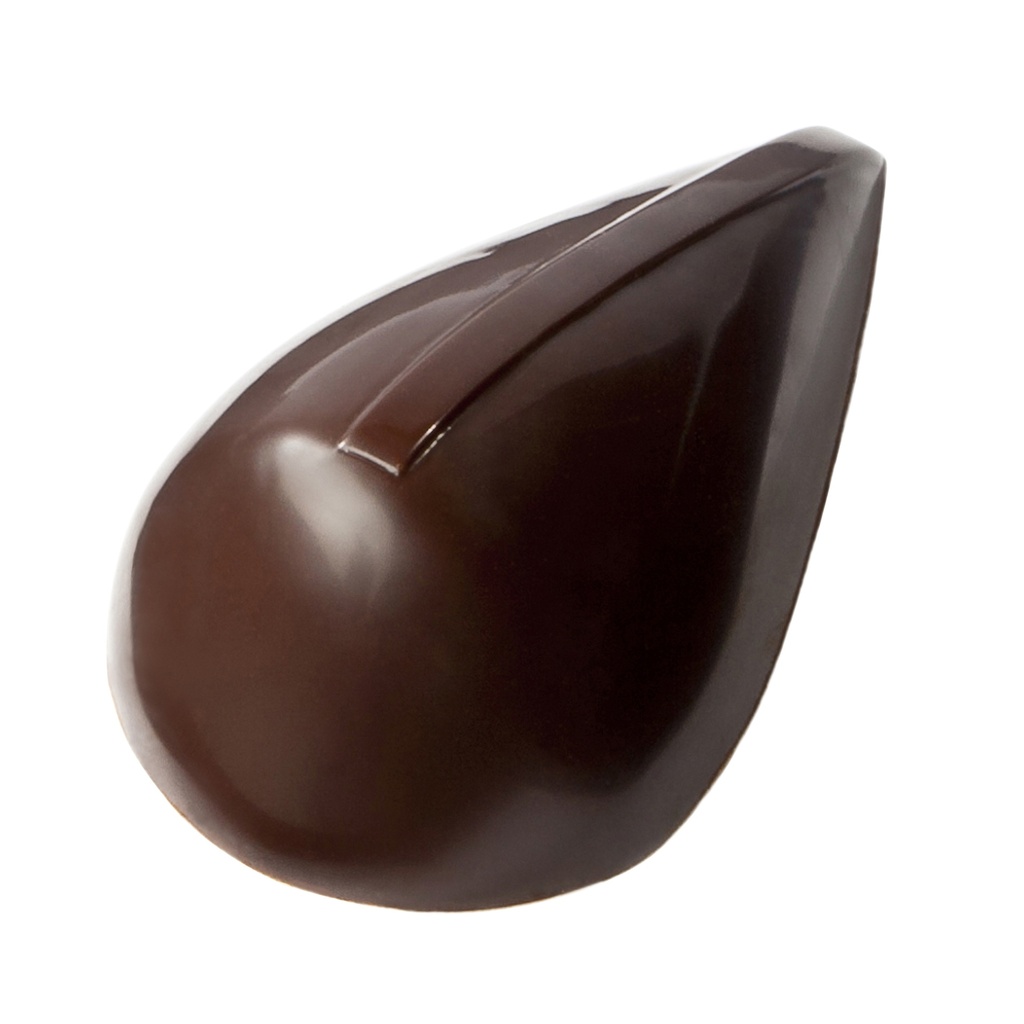 [1752CW] Chocolate mould - David Pasquiet