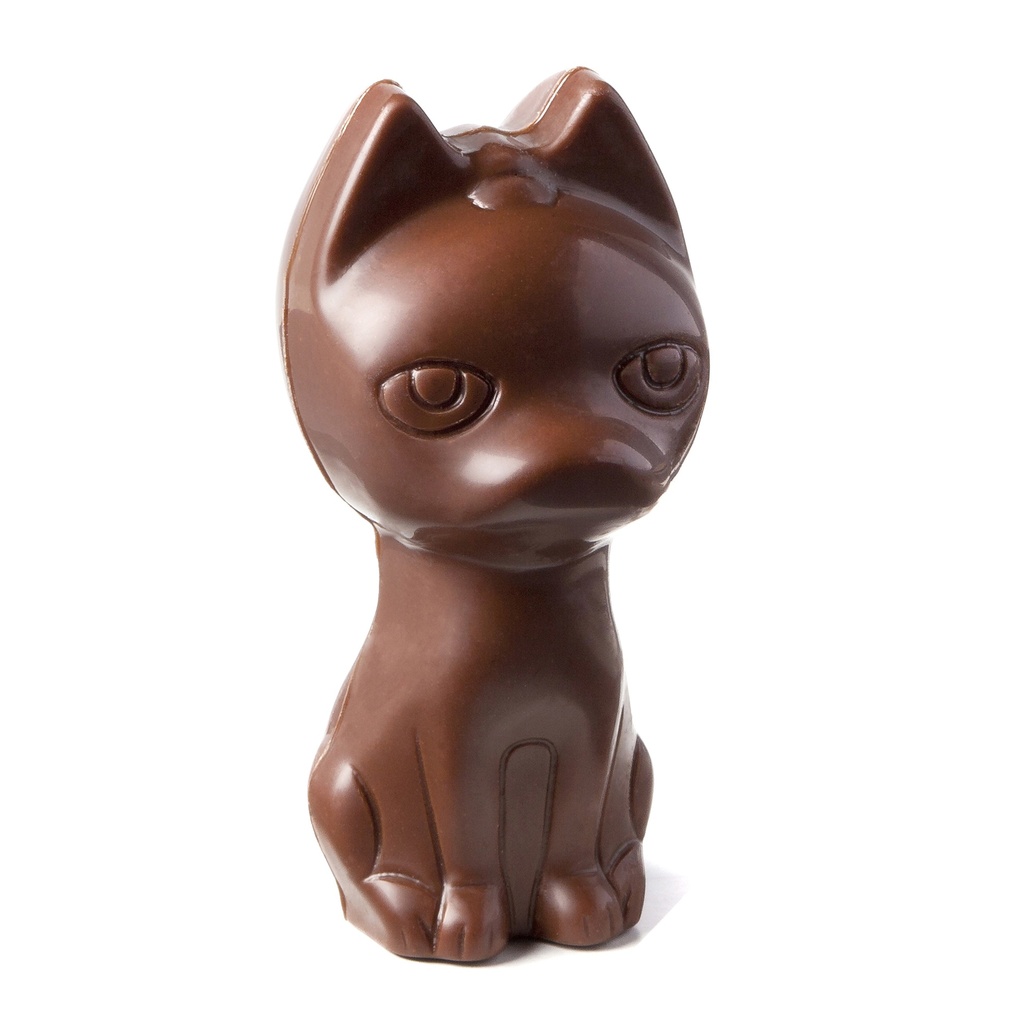 Chocolate mould xico
