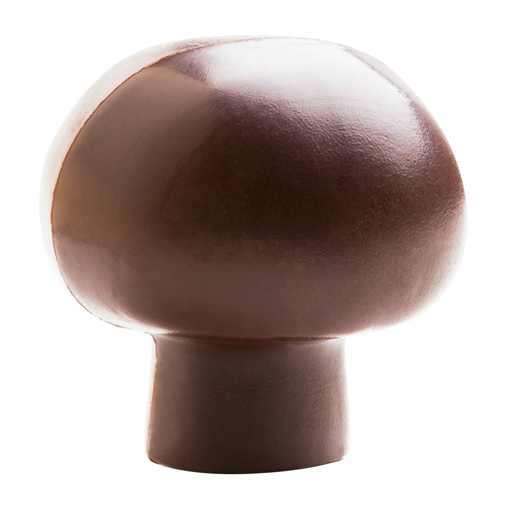 Stampo di cioccolato fungo
