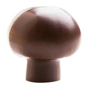 Stampo di cioccolato fungo
