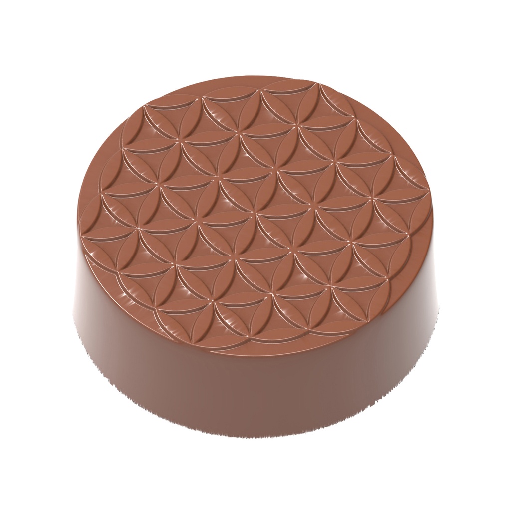 Chocoladevorm levensbloem (Diwali)