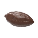 Chocoladevorm cacaoboon zonder steel