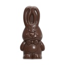 Chocoladevorm Harry haas