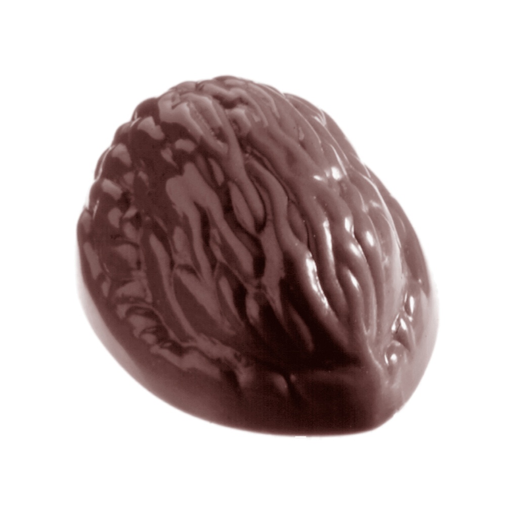 Chocoladevorm noot