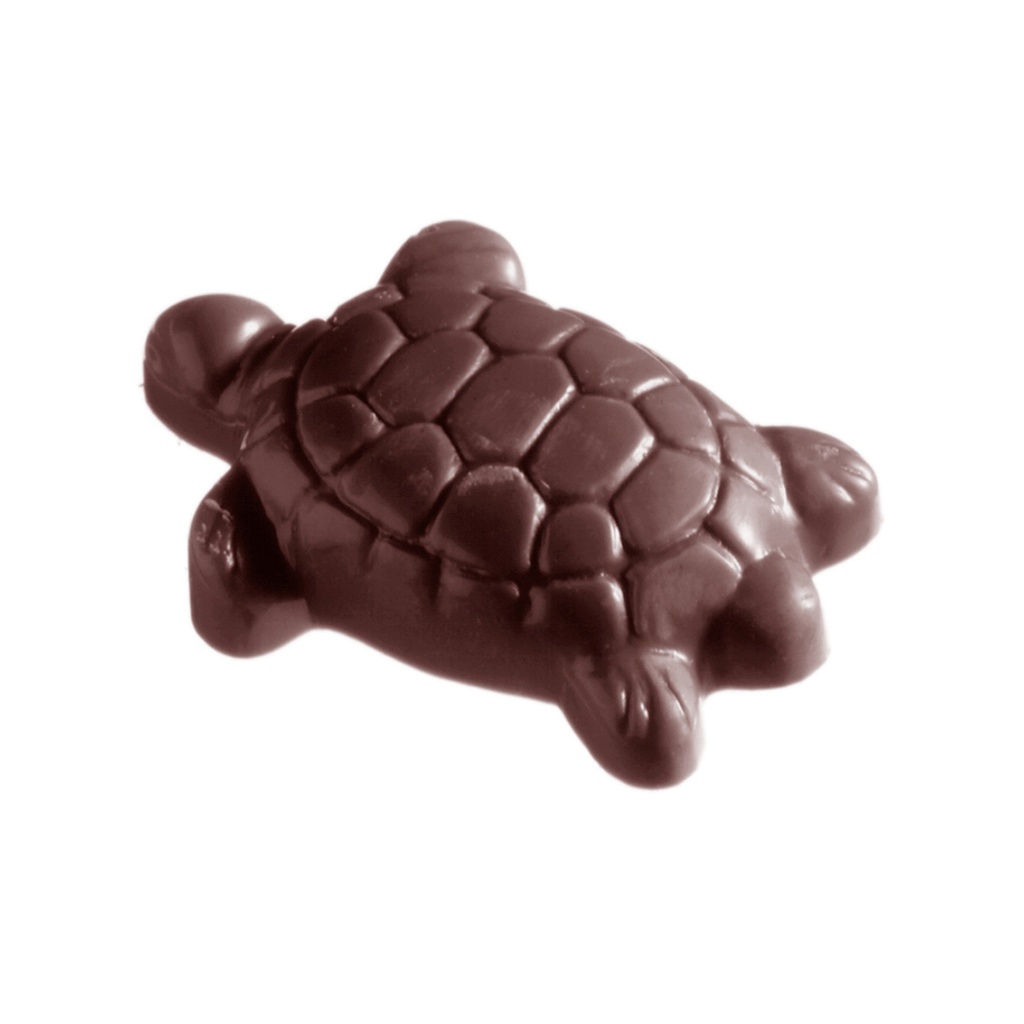 Chocoladevorm schildpad