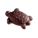 Stampo di cioccolato tartaruga