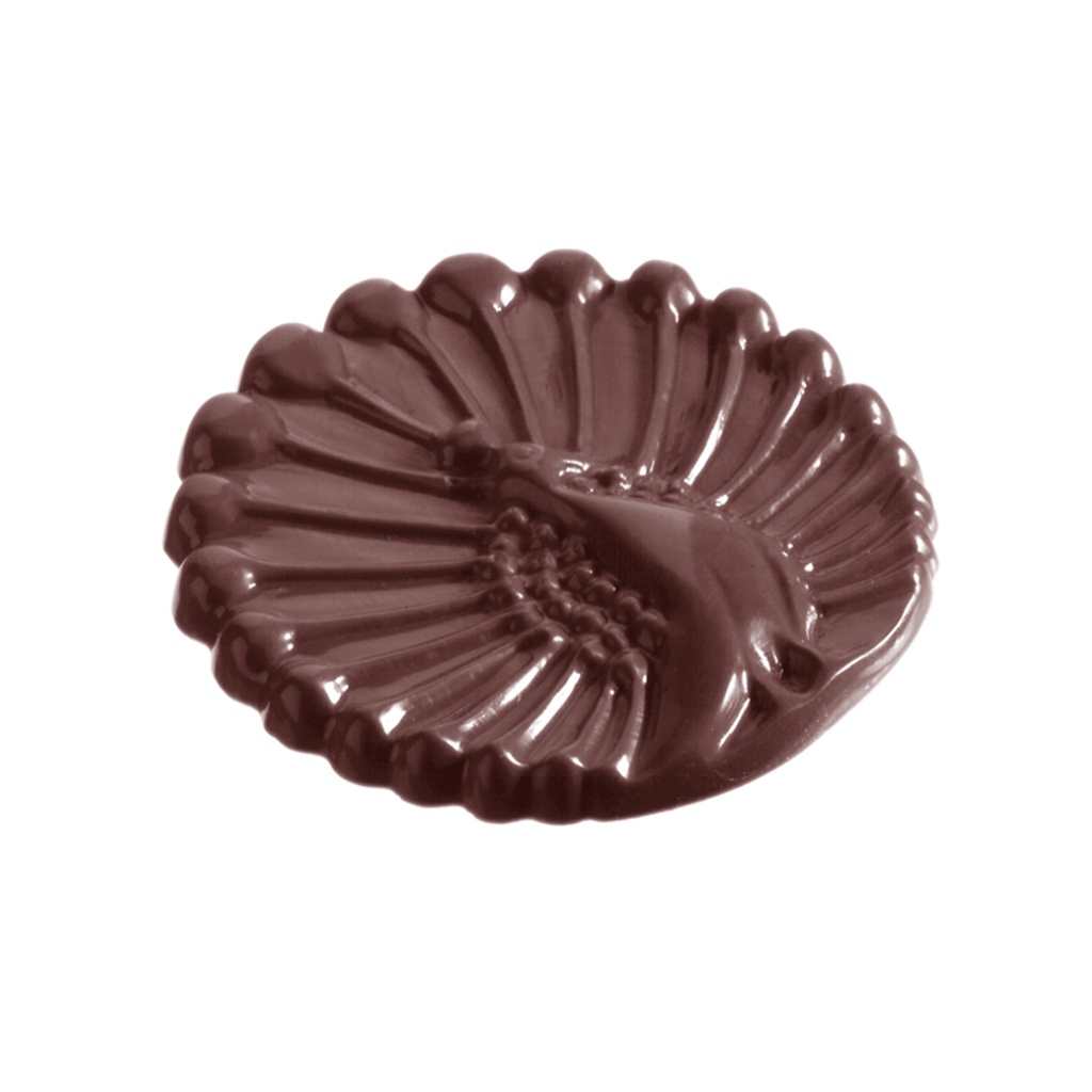 Chocoladevorm pauwkarak