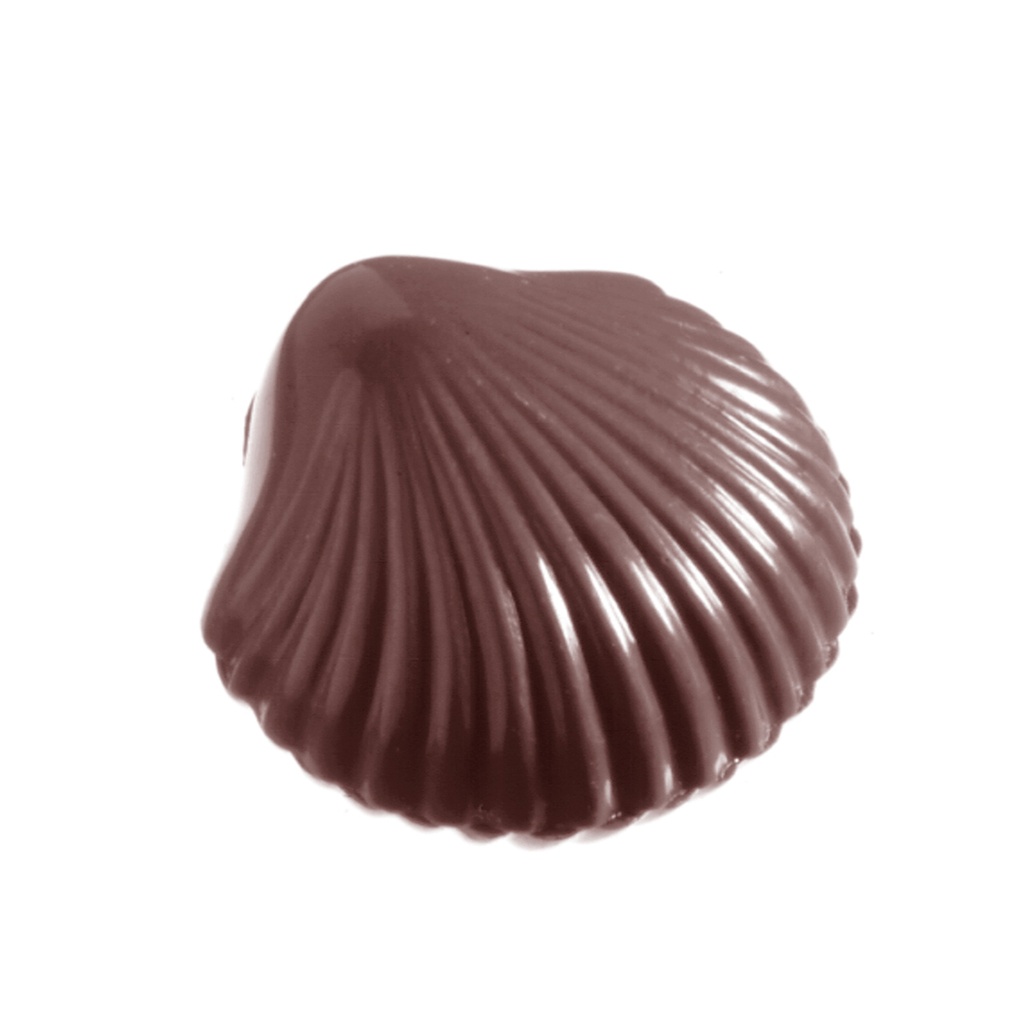 Stampo di cioccolato conchiglia piccola