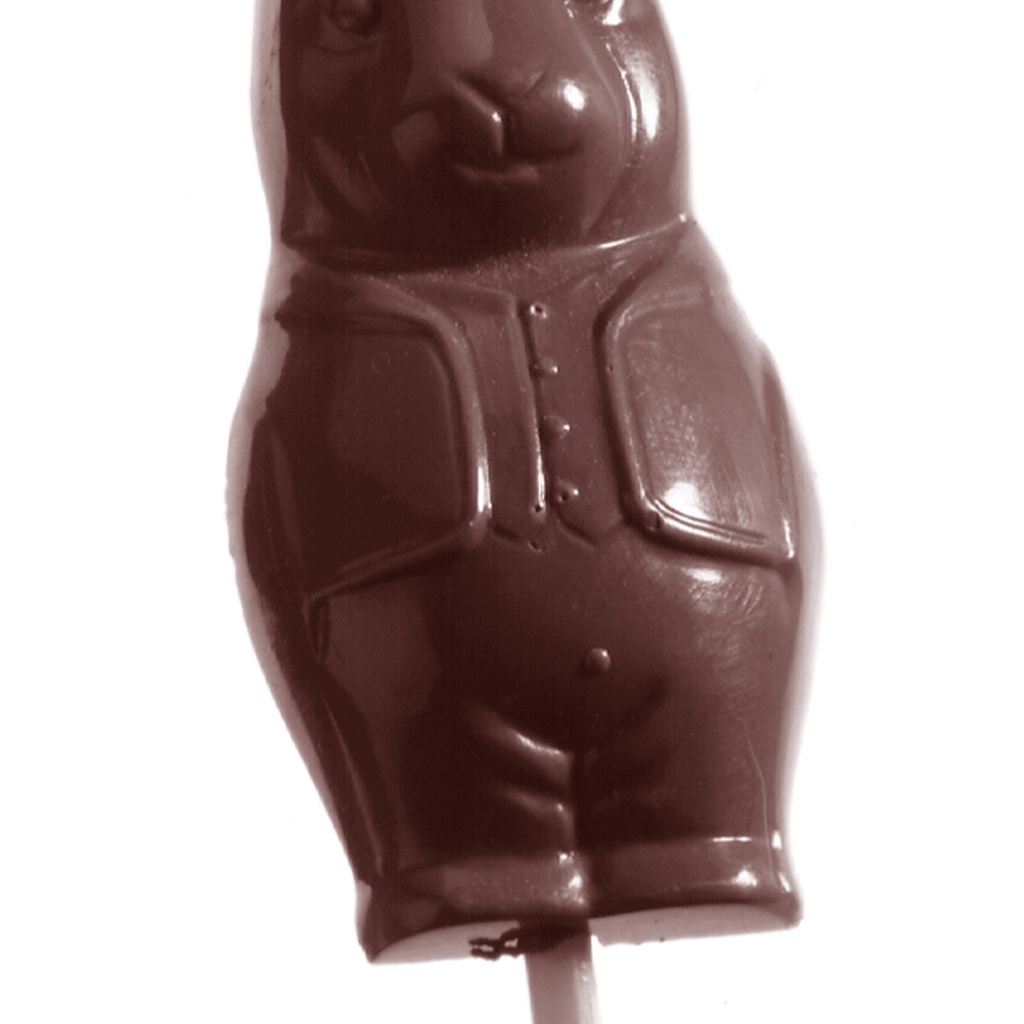 Chocoladevorm lolly haas