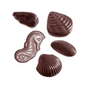 Stampo di cioccolato frutti di mare assortiti 8 soggetti