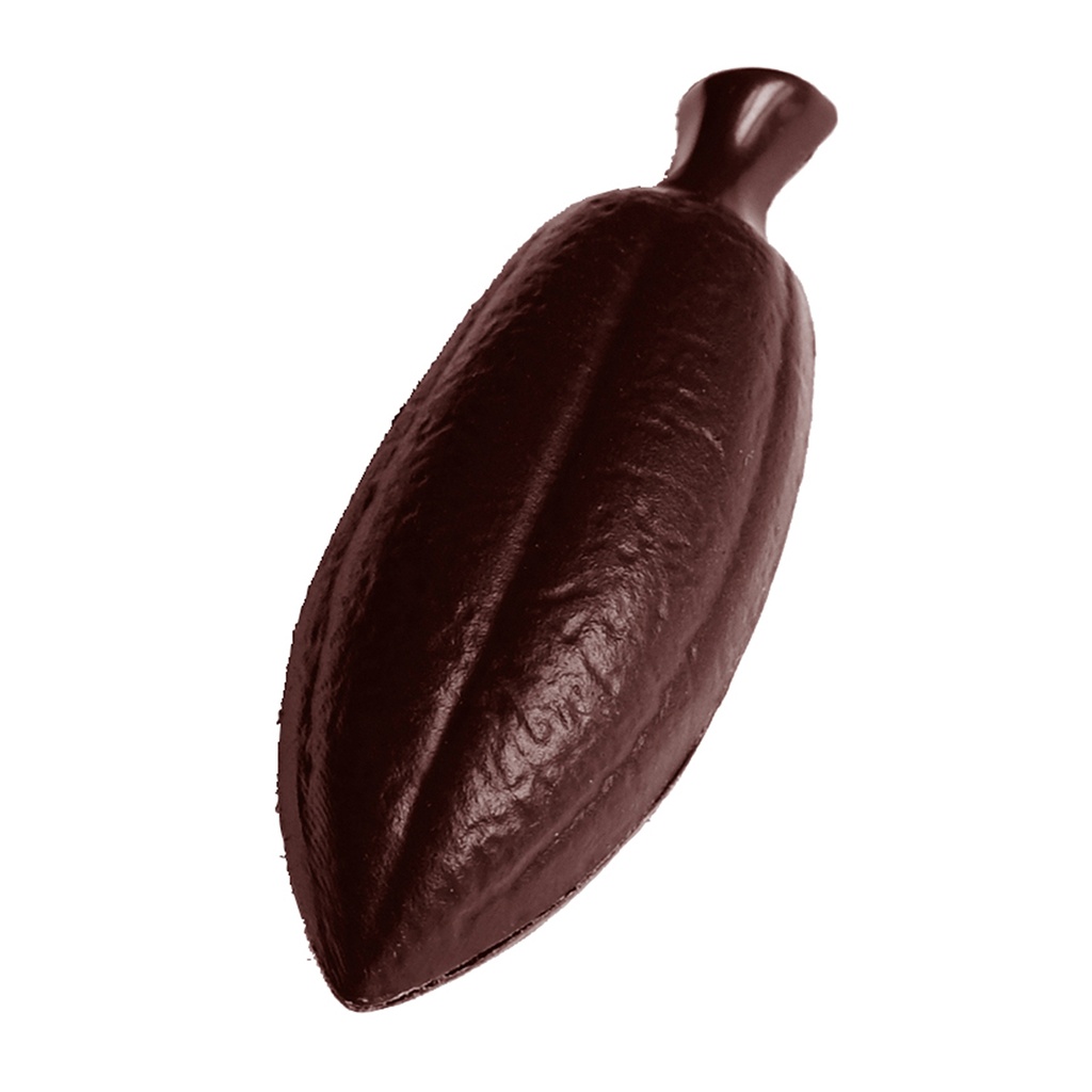 Moule à chocolat fève de cacao