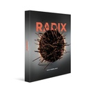 Radix ENG-ES (Paco Torreblanca)