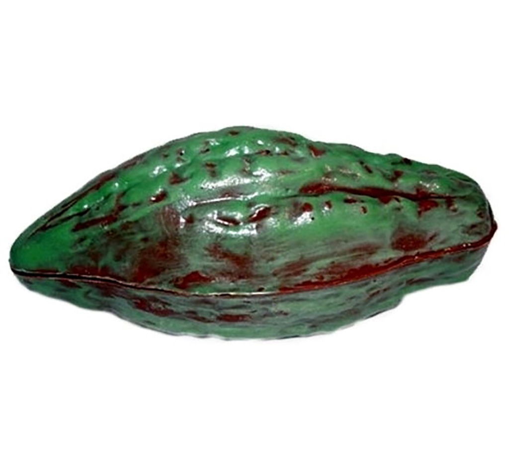 Stampo di cioccolato fava di cacao 204 mm