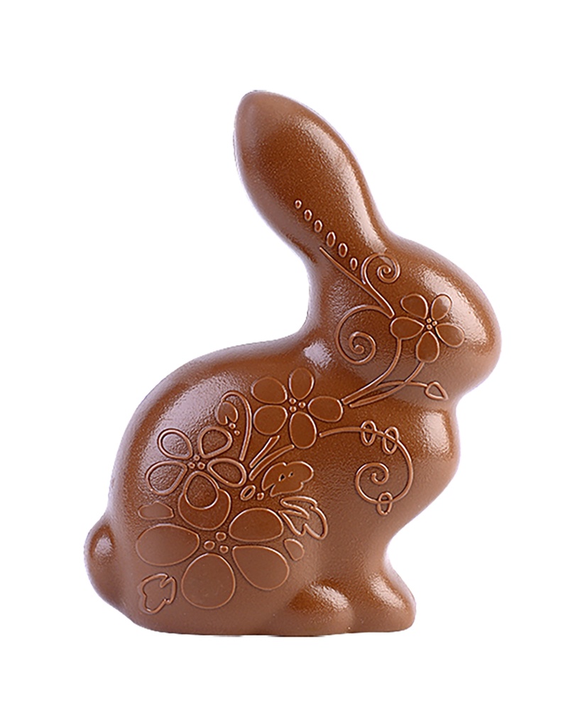 Molde de chocolate conejo hippie 180 mm