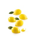 Silikomart Lemon 55 x 38 mm