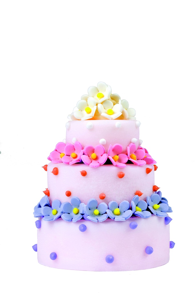[SSF148] Stampo in silicone 300 x 175 mm mini  cake